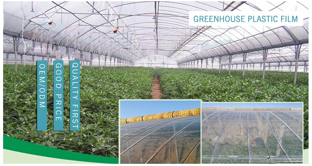 greenhouse film anti-drop