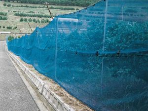 windbreak netting application (5)