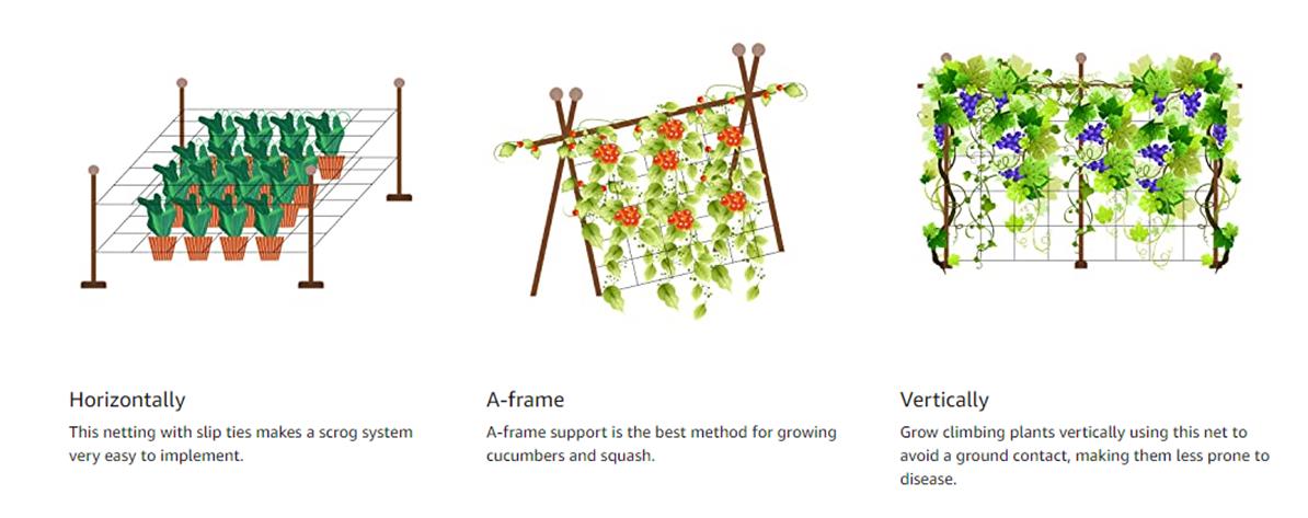 The way of Trellis Netting application-4