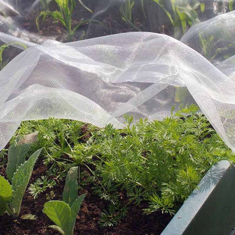 insect netting application