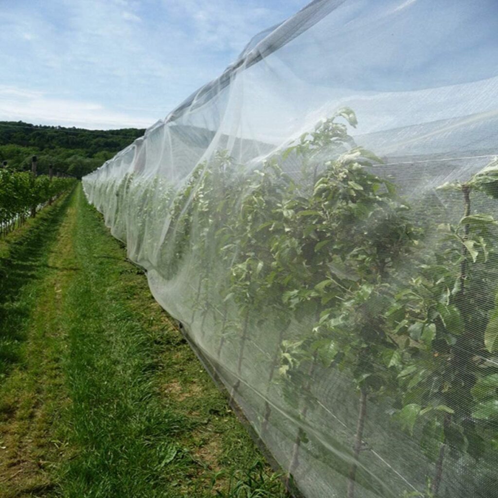 Insect Netting For Greenhouse Screen Covers Direct Factory
