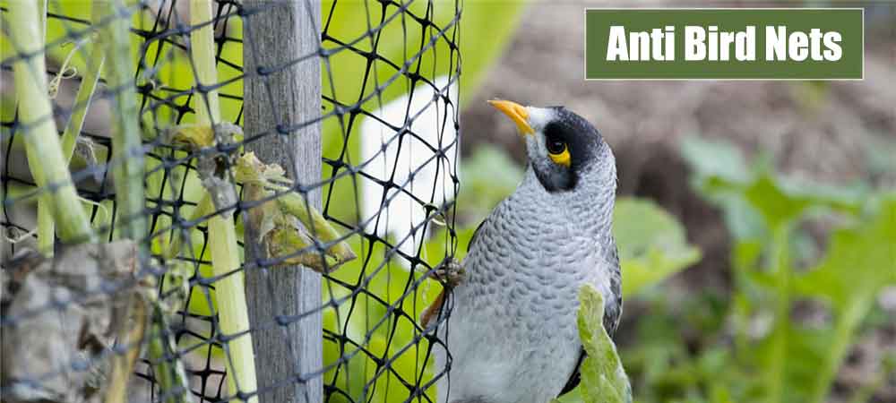 Durable Anti Bird Nets & Greenhouse Screen Covers